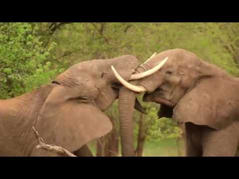 Malawi Travel Video November 2018