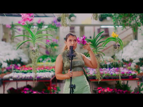 Letón Pé - Te Doy La Lu' (LIVE)