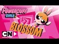 Powerpuff Girls | Maak kennis met Blossom | Cartoon Network