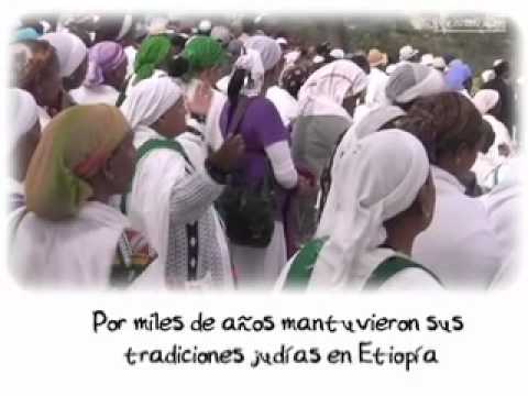 Kineret 2011   10 operacion salomon 4to grado etiope