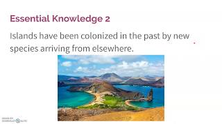 2.3 Island Biogeography