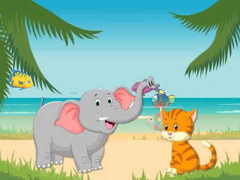 قصة القطة مشمشة | قصص ممتعة وتعليمية للاطفال | بيبى ستار | sho r t sto r y fo r  kids هنا hana