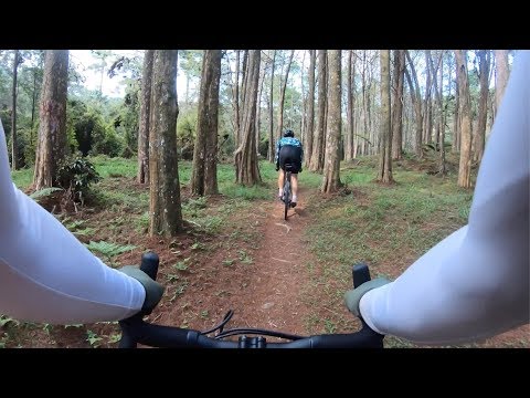 Specialized Days 2019 - Day 1: Gravel Ride through Campos do Jordão