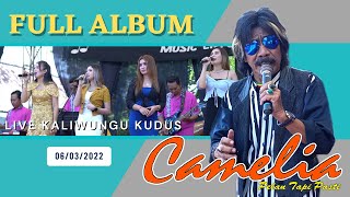 Download lagu Full Album CAMELIA Pelan Tapi Pasti Terbaru Live Kaliwungu Kudus mp3 Download lagu Full Album CAMELIA Pelan Tapi Pasti Terbaru Live Kaliwungu Kudus mp3