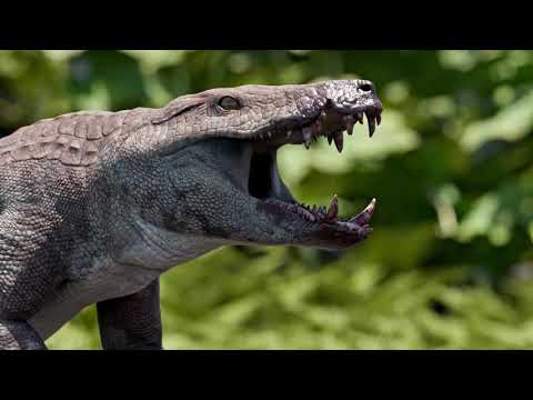 • Kostensuchus atrox • Official 3D Animation