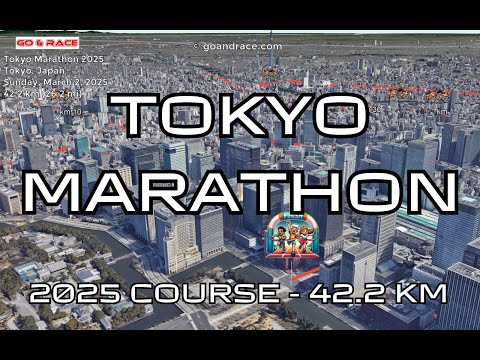 Tokyo Marathon 2025: fly over the marathon course! Video of the race path.