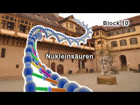 Grundvorlesung "Uni-Version" - Block 10: Nukleinsäuren