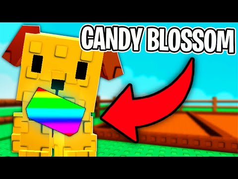 Only Using Seeds My Golden Lab Digs Up In Grow a Garden!