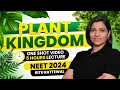 Plant Kingdom In One Shot Complete Chapter Concept PYQS Botany One Shot Ritu Rattewal Neet