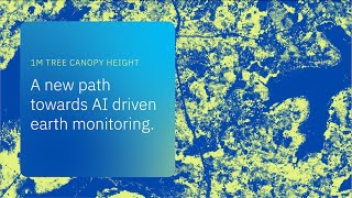 Mapping the World’s Trees in Unprecedented Detail with AI