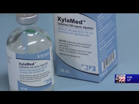 Horse sedative 'xylazene' detected in 15 overdose deaths in Vermont this year