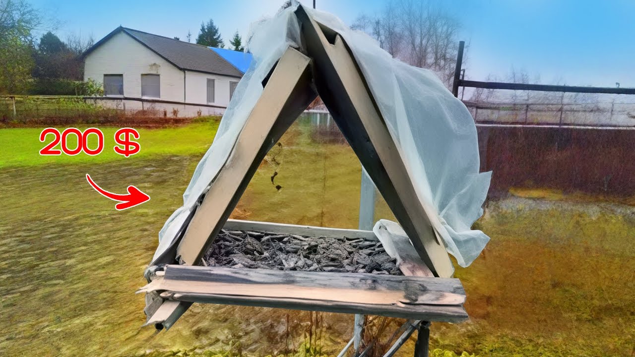 ЗА КАКУЮ КОРМУШКУ Я ЗАПЛАТИЛ 200 БАКСОВ? Результаты Конкурса!!!