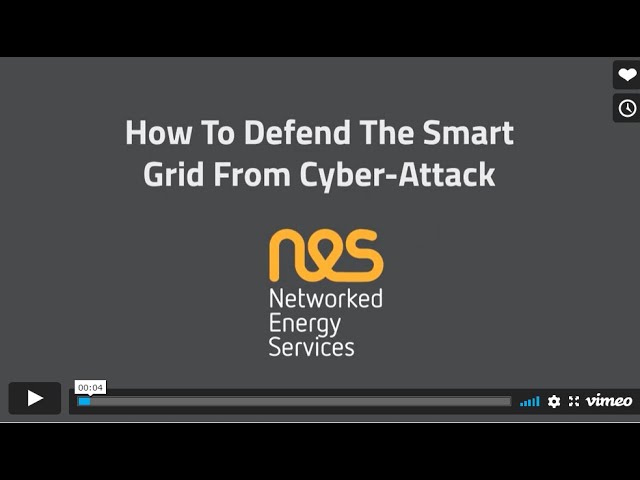 How to Defend the Smart Grid from Cyber-Attack?