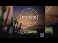 Passenger Side - Bearstronaut 