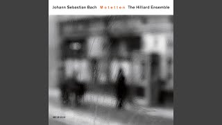 J.S. Bach: Lobet den Herrn, BWV 230: III. Halleluja