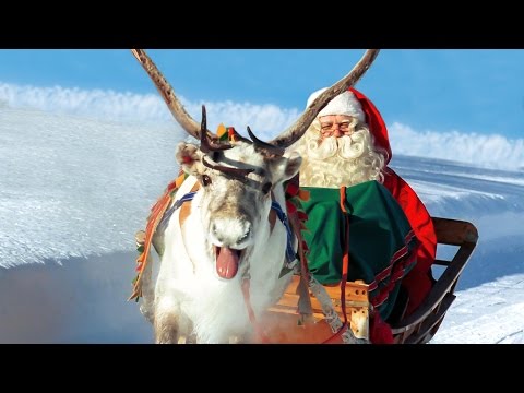Rennes du Père Noël en Laponie 🦌🎅 vrai Papa Noël à Rovaniemi Finlande - Village du Père Noël