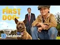First Dog Zurück Nach Hause Familienfilm Hundefilm In Voller Länge Ganze Film