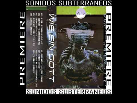 | Premiere | Swærm - Devoid | [WIE EIN GOTT RECORDS]