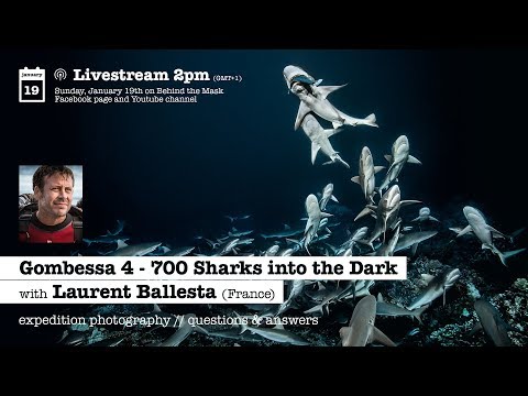 PART II WITH LAURENT BALLESTA AND GOMBESSA 4 - 700 SHARKS INTO THE DARK