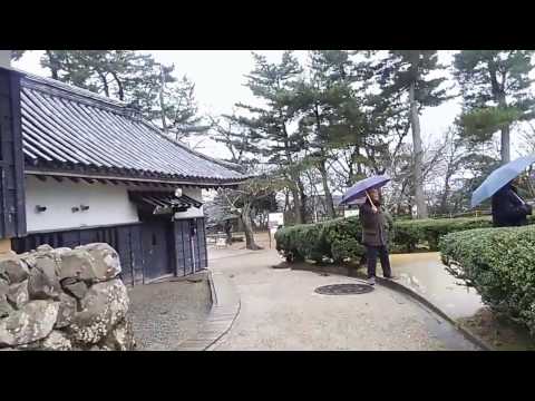 ROSA  DE  SANGRE  17-0220#471