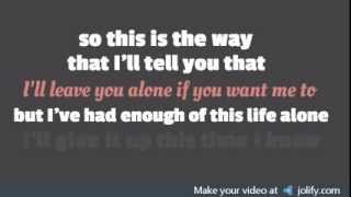 Secondhand Serenade - Never Too Late (Lyric Video)