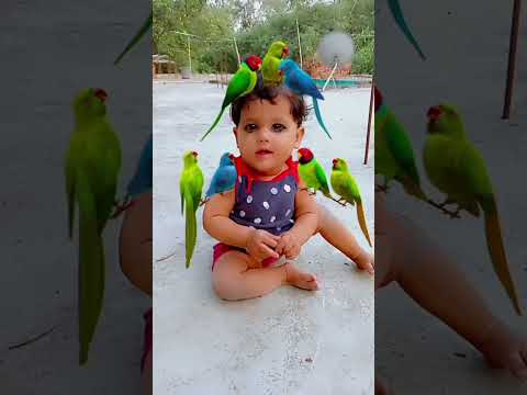 chhoti si pyari si nanhi si aai koi pari #sorts