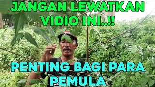 Download lagu TIGA HAL YANG HARUS DIPERHATIAN DALAM MEMIKAT BURUNG mp3