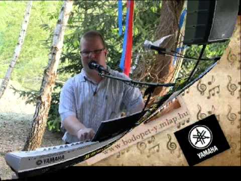 Bodó Peti- Csárdás mix 1