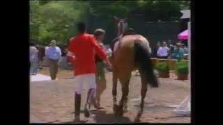 Video of Ratina Z