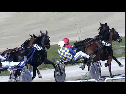 Napoli Trotto 24/03/2023 - 1ª corsa