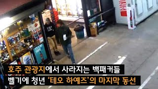 Download lagu [The Lost] The Mysterious Final Moves of Theo Hayez, as Revealed by Google Apps mp3