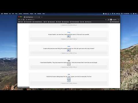 Mallea: Harvard CS50 -- Project 4 /Network