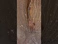Tekchand Fabrics Trendingshorts Youtubeshorts Subscribe Fabrics Reels Viral Tekchandfabrics
