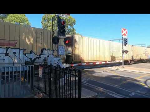 Massive 4 Locomotive SCT Freight at Salisbury