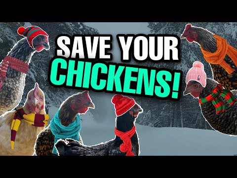 , title : 'Top 7 Tips For Winter Chicken Care! | #7 Could Save Your Flock!'