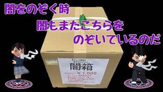 意味不明な組み合わせに困惑…駿河屋1,000円闇箱から出てきた「謎のセット」の正体は？！