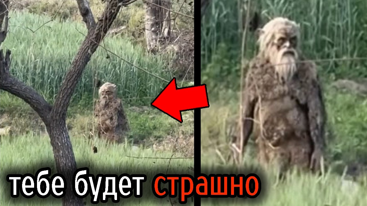 Самые Ужасные Видео со Всего Мира #118