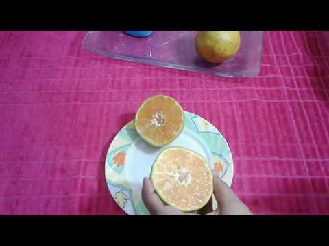 download lagu mp3 mp4 How To Make Orange Juice In Mixie, download mp3 How To Make Orange Juice In Mixie free download mp3, download mp3 How To Make Orange Juice In Mixie