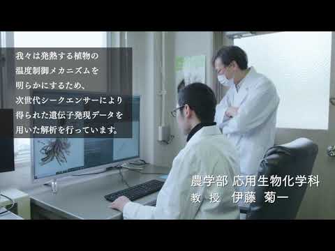 農学部　応用生物化学科　研究室紹介動画（伊藤菊一教授・ 生体熱制御システム学研究室）専門分野：
