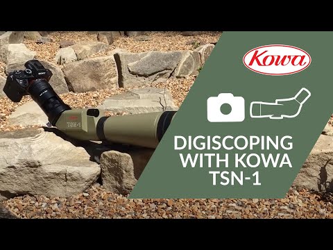 Digiscoping with Kowa TSN-1 and Kowa System S TSN-PA8