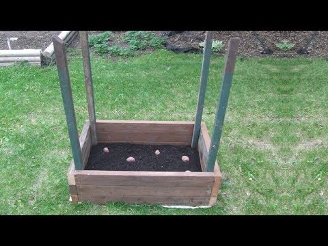 Believe It Or Not, This Potato Tower Can Grow 100 Pounds Of Potatoes