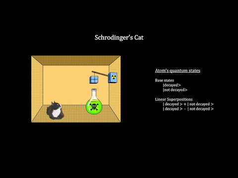 How Small Is It - Chapter 6 - Superposition and Quantum Entanglement (4K)