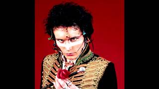 Adam Ant - Here Comes the Grump