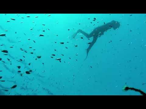 Dolphin Reef – Eilat