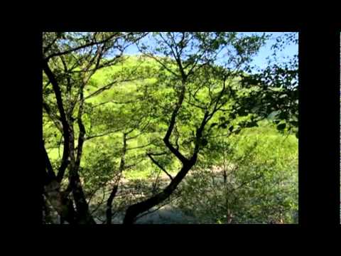 Valea Dambovitei la Lunca Gartii