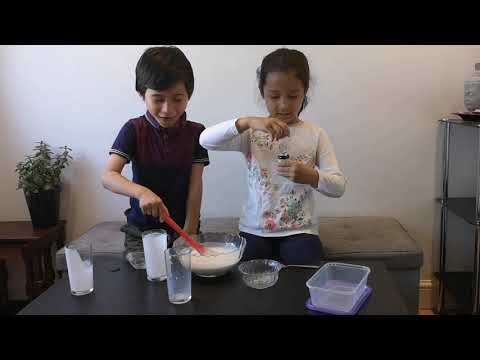 Homemade Non Dairy Ice-cream.