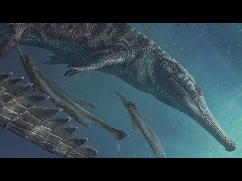 Machimosaurus: The Largest Amphibious Crocodile Relative of the Jurassic Period