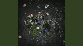 Blommor där du står