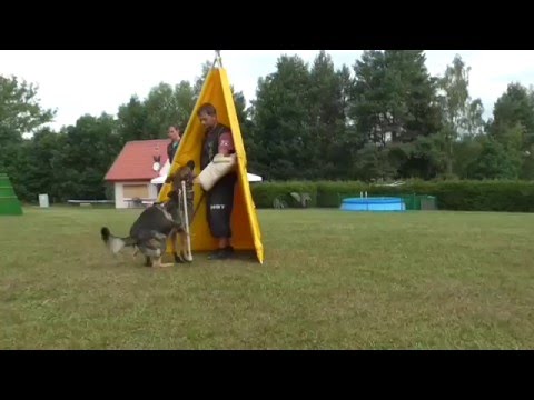 CHARLIE z údolí Úpy - krátký sestřih obran 2015