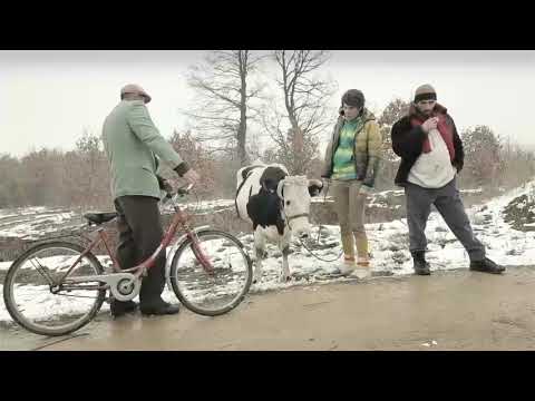 I ka 4 cici 2 i qesin makiato t’vogla, 2 makiato t’mdhaja 😂😂 / Stupcat Egjeli 2016 - Episodi 8